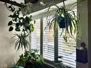 Window- click for photo gallery